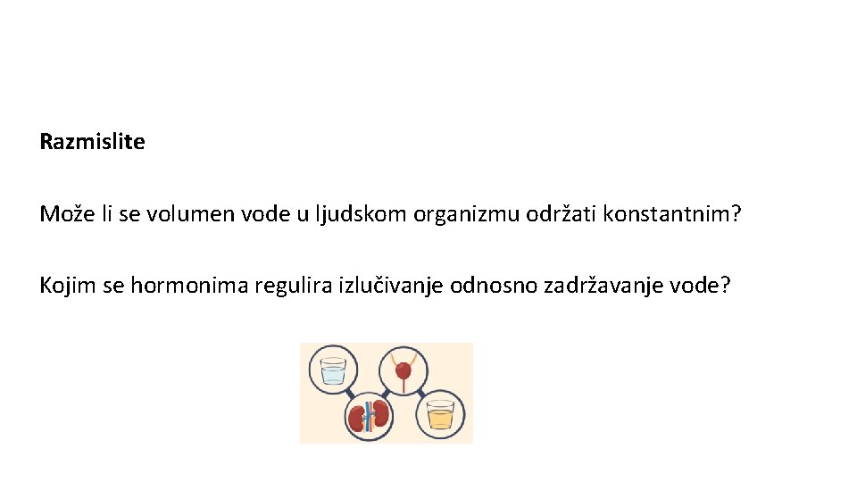 Razmislite Može li se volumen vode u ljudskom organizmu održati konstantnim? Kojim se hormonima