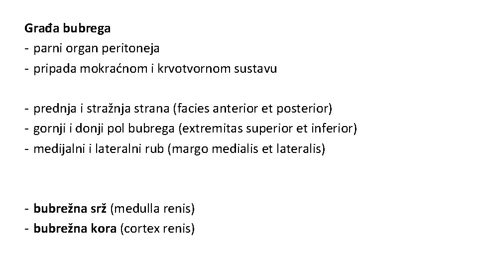 Građa bubrega - parni organ peritoneja - pripada mokraćnom i krvotvornom sustavu - prednja