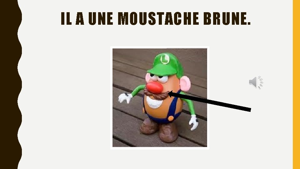 IL A UNE MOUSTACHE BRUNE. 