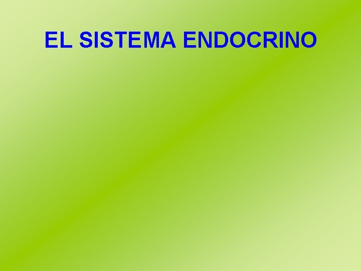 EL SISTEMA ENDOCRINO 