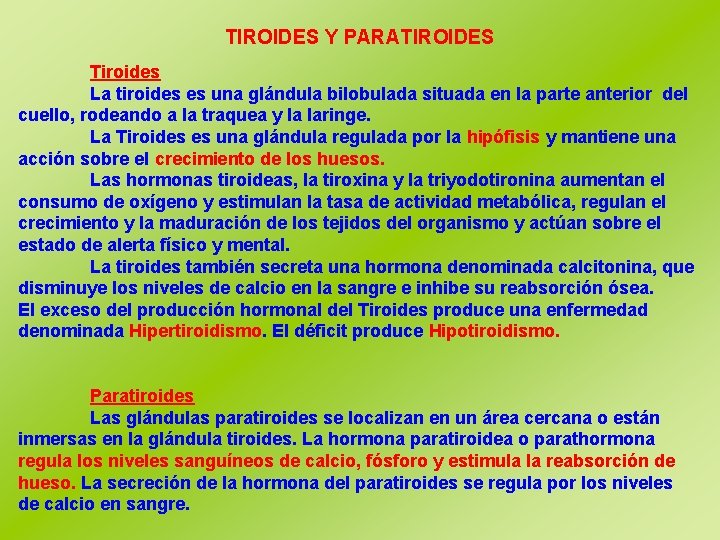 TIROIDES Y PARATIROIDES Tiroides La tiroides es una glándula bilobulada situada en la parte