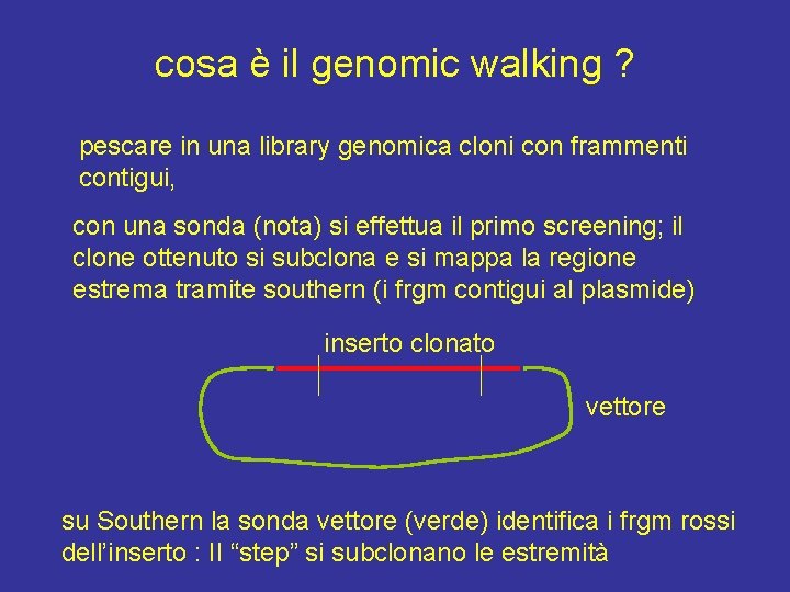 cosa è il genomic walking ? pescare in una library genomica cloni con frammenti