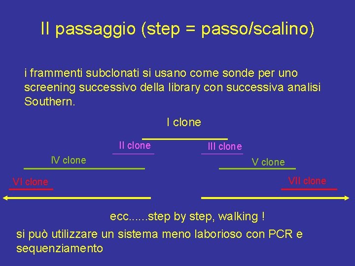 II passaggio (step = passo/scalino) i frammenti subclonati si usano come sonde per uno