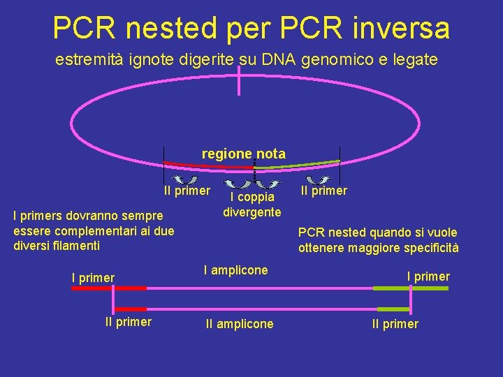 PCR nested per PCR inversa estremità ignote digerite su DNA genomico e legate regione