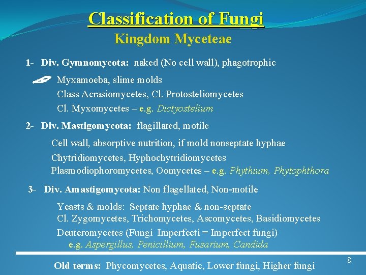 Classification of Fungi Kingdom Myceteae 1 - Div. Gymnomycota: naked (No cell wall), phagotrophic