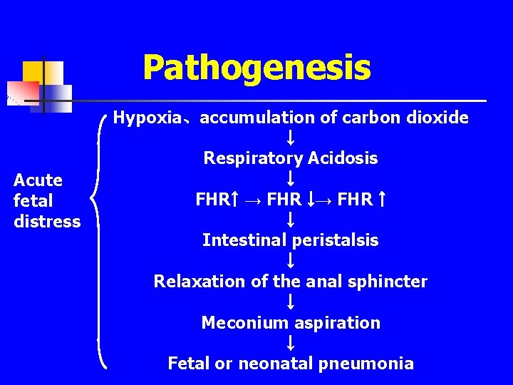Pathogenesis Acute fetal distress Hypoxia、accumulation of carbon dioxide ￬ Respiratory Acidosis ￬ FHR￪ →