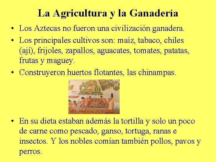 La Agricultura y la Ganadería • Los Aztecas no fueron una civilización ganadera. •