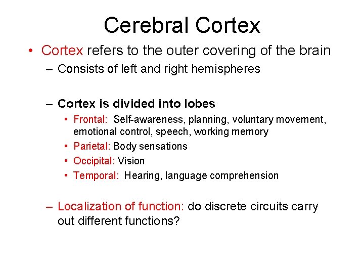 Cerebral Cortex • Cortex refers to the outer covering of the brain – Consists