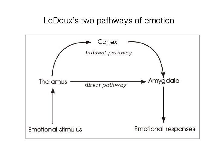 Le. Doux’s two pathways of emotion 