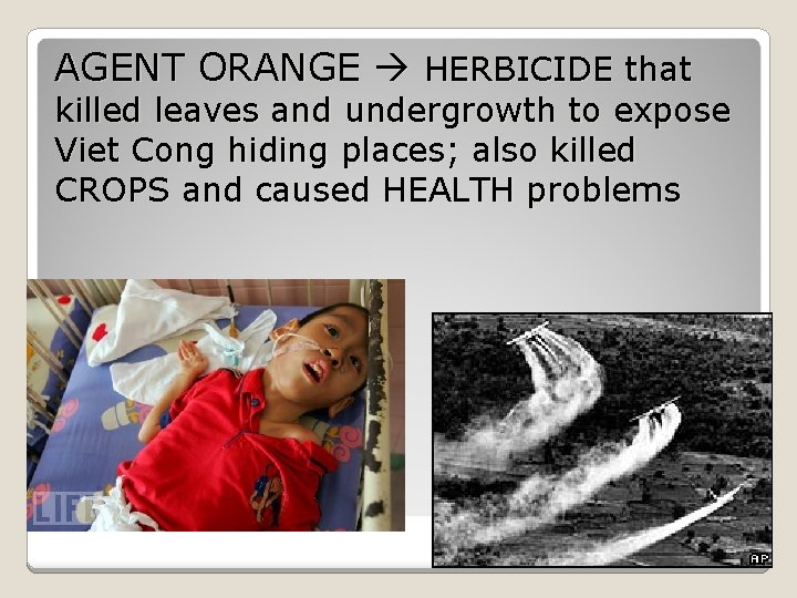 AGENT ORANGE HERBICIDE that killed leaves and undergrowth to expose Viet Cong hiding places;