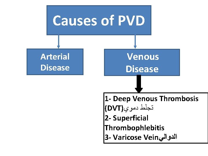 Causes of PVD Arterial Disease Venous Disease 1 - Deep Venous Thrombosis (DVT) ﺗﺠﻠﻂ
