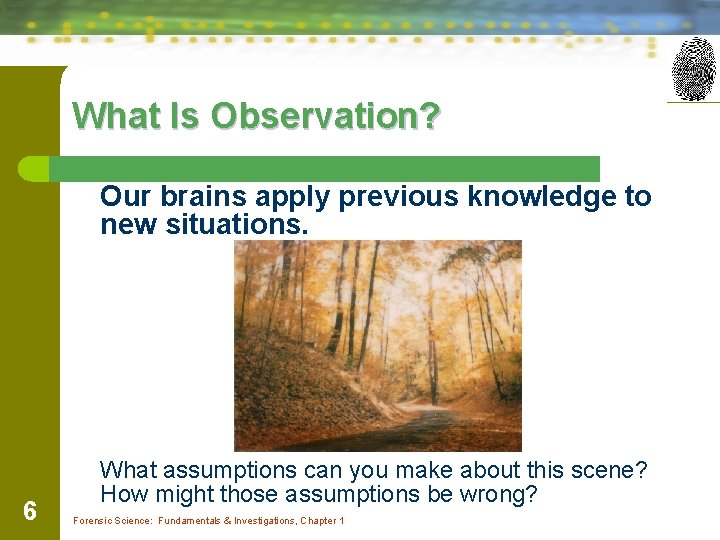 What Is Observation? Our brains apply previous knowledge to new situations. 6 What assumptions