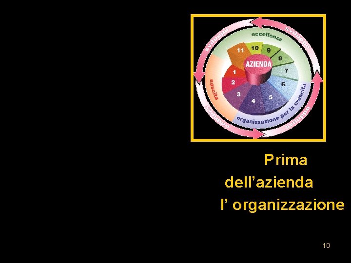 Prima dell’azienda l’ organizzazione 10 