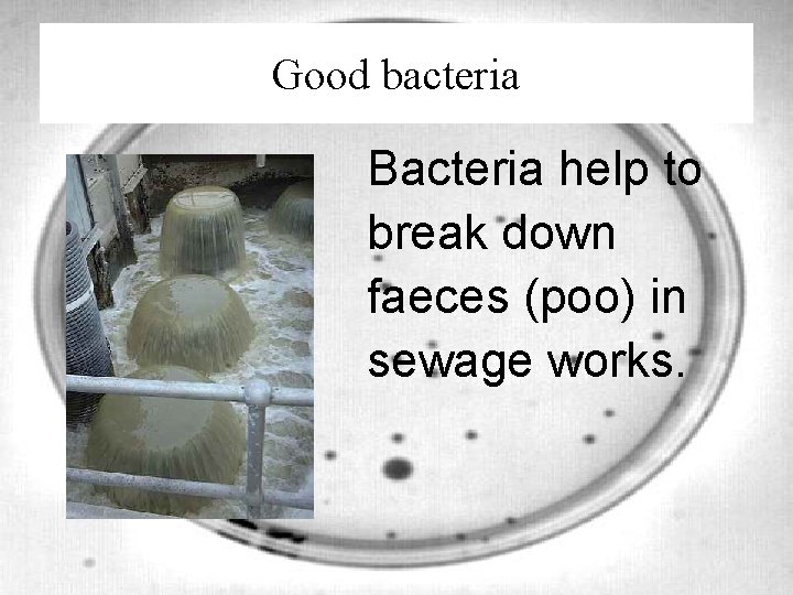 Good bacteria Bacteria help to break down faeces (poo) in sewage works. 