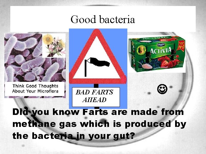 Good bacteria Did you know Farts are made from methane gas which is produced