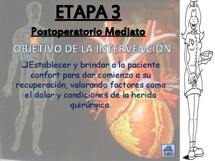 ETAPA 3 Postoperatorio Mediato OBJETIVO DE LA INTERVENCIÓN q. Establecer y brindar a la