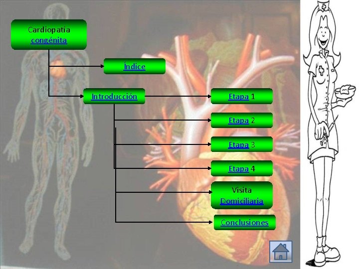 Cardiopatía congénita Índice Introducción Etapa 1 Etapa 2 Etapa 3 Etapa 4 Visita Domiciliaria