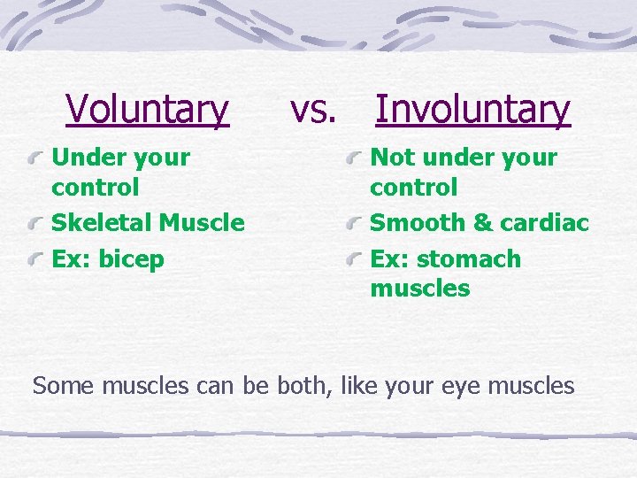 Voluntary Under your control Skeletal Muscle Ex: bicep vs. Involuntary Not under your control