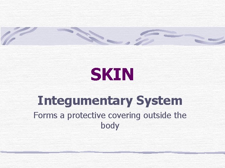 SKIN Integumentary System Forms a protective covering outside the body 