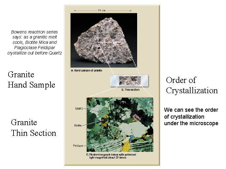 Bowens reactrion series says: as a granitic melt cools, Biotite Mica and Plagioclase Feldspar Bowens reactrion series says: as a granitic melt cools, Biotite Mica and Plagioclase Feldspar