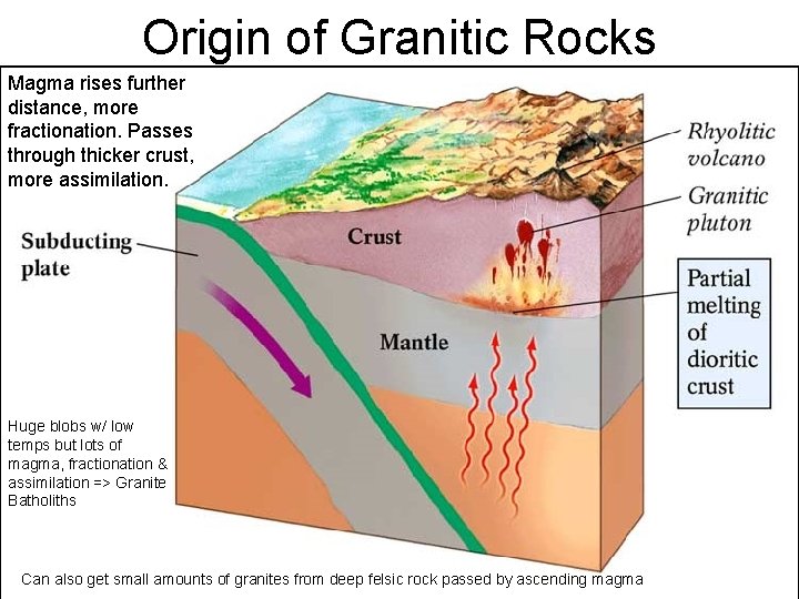 Origin of Granitic Rocks Magma rises further distance, more fractionation. Passes through thicker crust, Origin of Granitic Rocks Magma rises further distance, more fractionation. Passes through thicker crust,