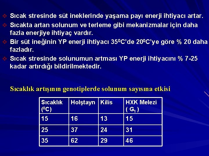 v Sıcak stresinde süt ineklerinde yaşama payı enerji ihtiyacı artar. v Sıcakta artan solunum