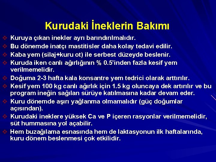 Kurudaki İneklerin Bakımı v v v v v Kuruya çıkan inekler ayrı barındırılmalıdır. Bu