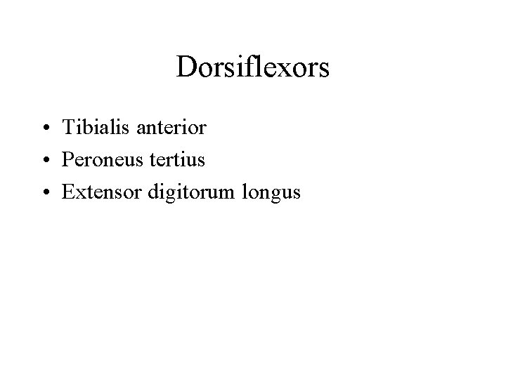 Dorsiflexors • Tibialis anterior • Peroneus tertius • Extensor digitorum longus 