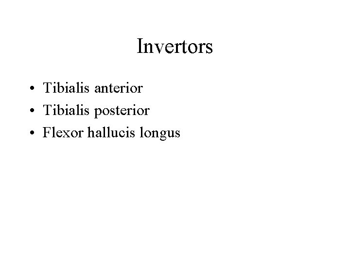 Invertors • Tibialis anterior • Tibialis posterior • Flexor hallucis longus 