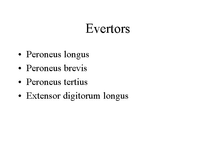 Evertors • • Peroneus longus Peroneus brevis Peroneus tertius Extensor digitorum longus 