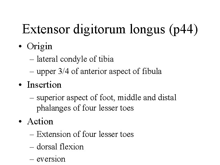 Extensor digitorum longus (p 44) • Origin – lateral condyle of tibia – upper