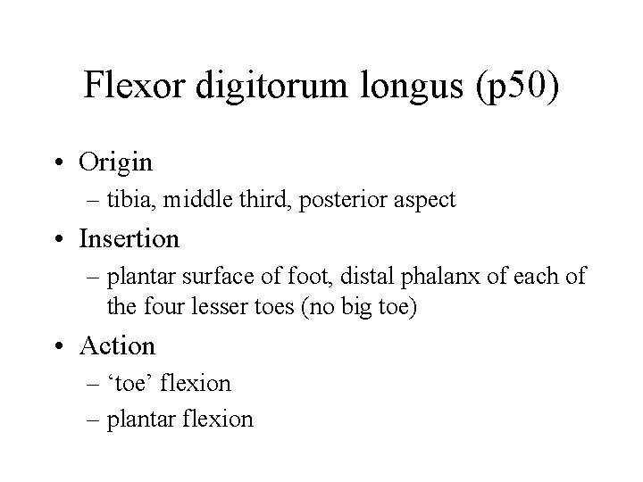 Flexor digitorum longus (p 50) • Origin – tibia, middle third, posterior aspect •