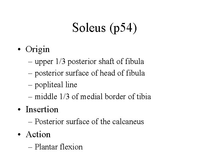 Soleus (p 54) • Origin – upper 1/3 posterior shaft of fibula – posterior