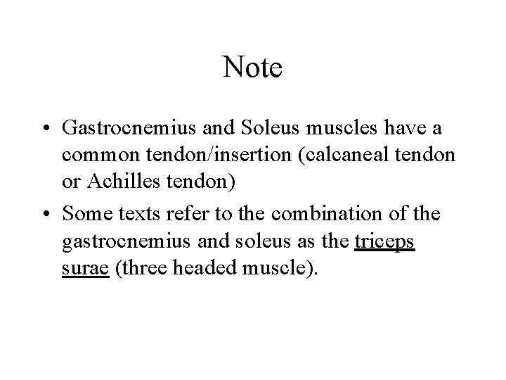 Note • Gastrocnemius and Soleus muscles have a common tendon/insertion (calcaneal tendon or Achilles