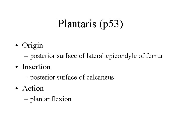 Plantaris (p 53) • Origin – posterior surface of lateral epicondyle of femur •