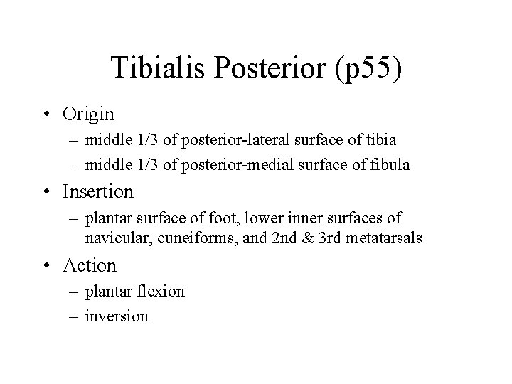 Tibialis Posterior (p 55) • Origin – middle 1/3 of posterior-lateral surface of tibia