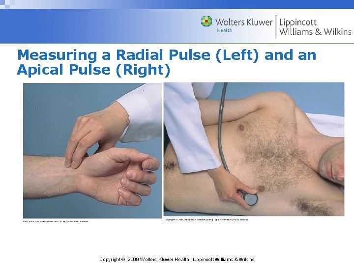 Measuring a Radial Pulse (Left) and an Apical Pulse (Right) Copyright © 2009 Wolters