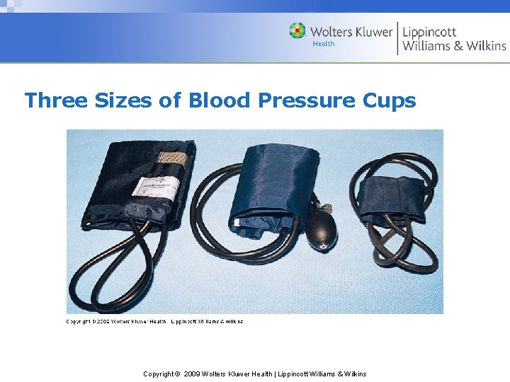 Three Sizes of Blood Pressure Cups Copyright © 2009 Wolters Kluwer Health | Lippincott