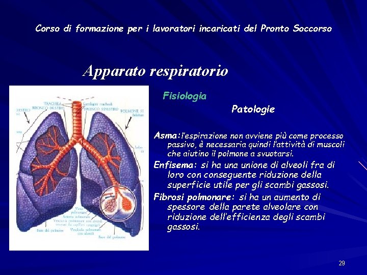 Corso di formazione per i lavoratori incaricati del Pronto Soccorso Apparato respiratorio Fisiologia Patologie