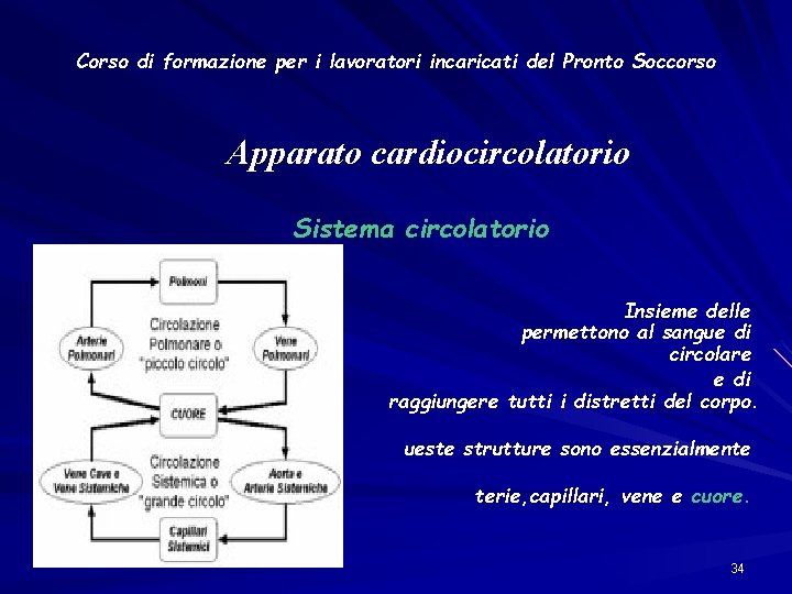 Corso di formazione per i lavoratori incaricati del Pronto Soccorso Apparato cardiocircolatorio Sistema circolatorio