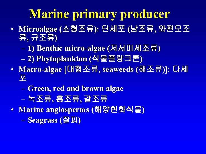 Marine primary producer • Microalgae (소형조류): 단세포 (남조류, 와편모조 류, 규조류) – 1) Benthic