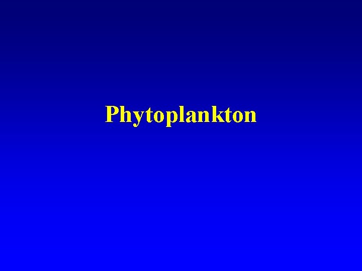 Phytoplankton 