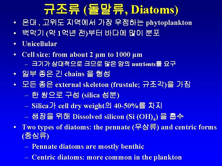 규조류 (돌말류, Diatoms) • • 온대 , 고위도 지역에서 가장 우점하는 phytoplankton 백악기 (약