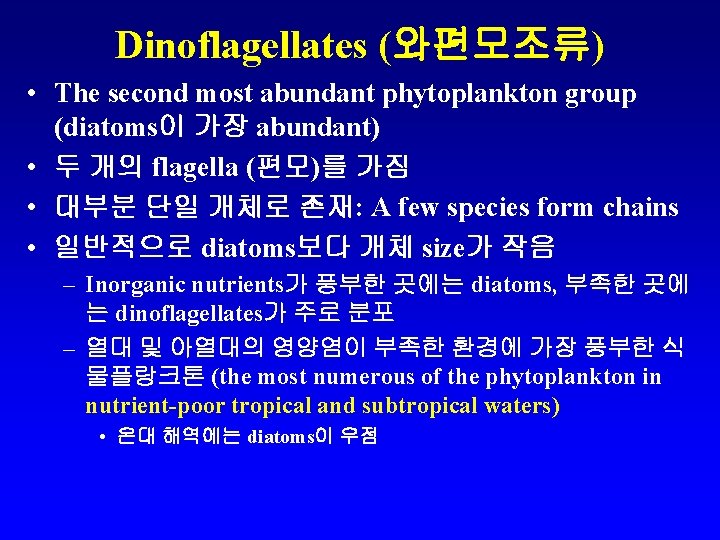 Dinoflagellates (와편모조류) • The second most abundant phytoplankton group (diatoms이 가장 abundant) • 두