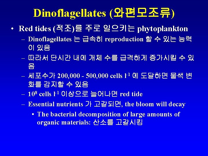 Dinoflagellates (와편모조류) • Red tides (적조)를 주로 일으키는 phytoplankton – Dinoflagellates 는 급속히 reproduction