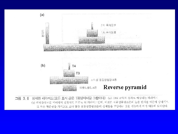 Reverse pyramid 
