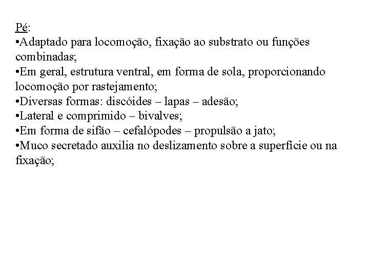 Pé: • Adaptado para locomoção, fixação ao substrato ou funções combinadas; • Em geral,