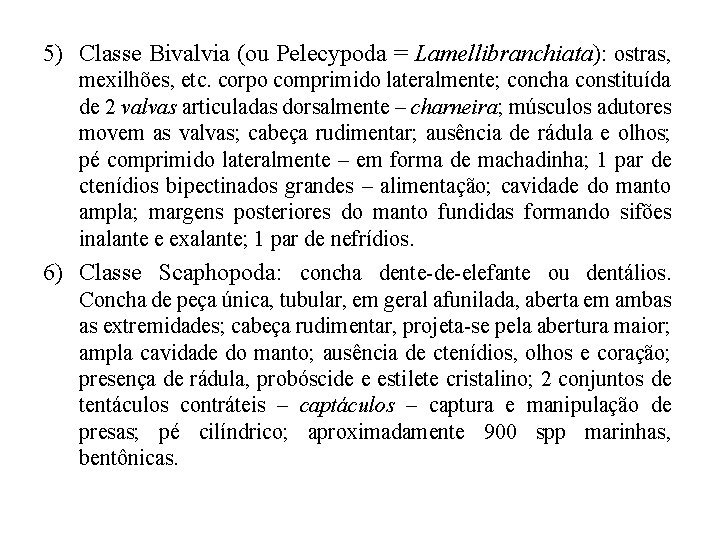 5) Classe Bivalvia (ou Pelecypoda = Lamellibranchiata): ostras, mexilhões, etc. corpo comprimido lateralmente; concha