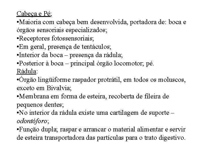 Cabeça e Pé; • Maioria com cabeça bem desenvolvida, portadora de: boca e órgãos