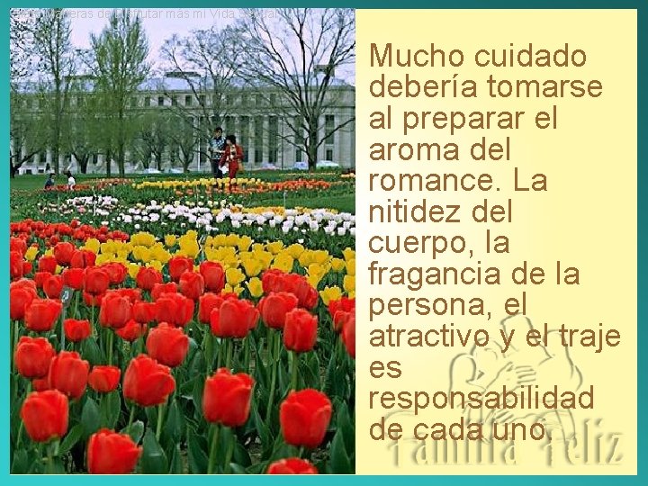 Siete Maneras de Disfrutar más mi Vida Sexual Mucho cuidado debería tomarse al preparar